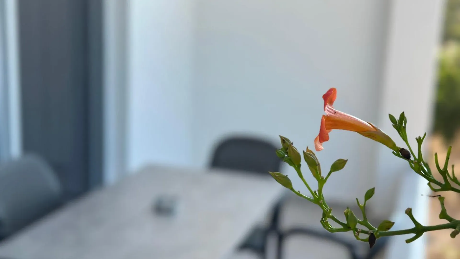 Appartement Kensly Guesthouse Ksamil